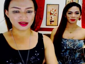 Hot Brunette Ladyboy - Couple With Ladyboy porn videos at Xecce.com